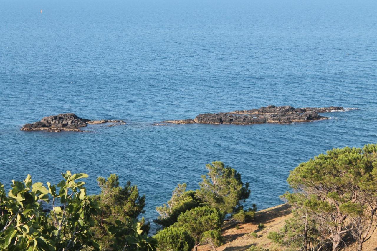 Appartement Vue Mer El Farniente Cerbère المظهر الخارجي الصورة